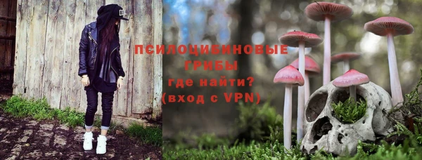не бодяженный Армянск
