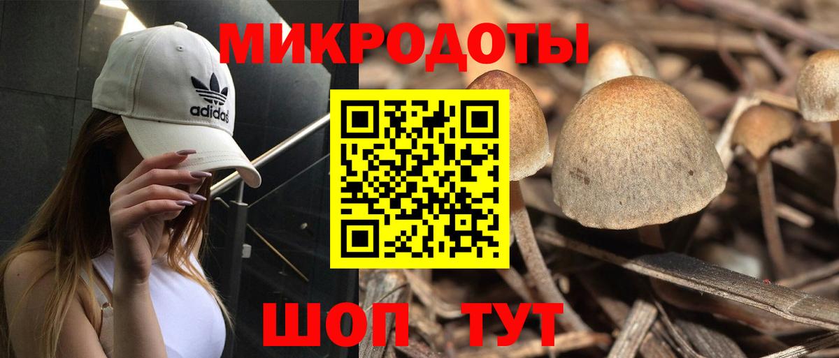 Галлюциногенные грибы GOLDEN TEACHER  Вход с VPN  Калуга 