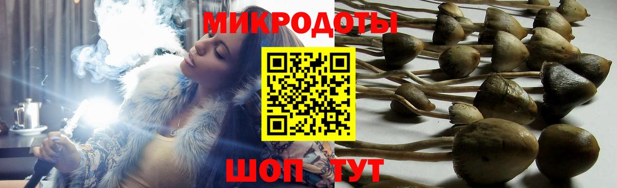 Галлюциногенные грибы Psilocybine cubensis Калуга